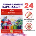 Карандаши цветные акварельные BRAUBERG "АКАДЕМИЯ", 24 цвета, шестигранные, грифель 3 мм, натуральное дерево, 181400 181400
