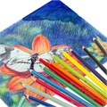 Карандаши цветные акварельные BRAUBERG PREMIUM AQUARELLE, 12 цветов, трехгранные, утолщенный грифель 4 мм, натуральное дерево, 181671 181671