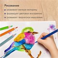 Карандаши цветные акварельные BRAUBERG PREMIUM AQUARELLE, 36 цветов, трехгранные, утолщенный грифель 4 мм, натуральное дерево, 181674 181674