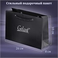 Ручка перьевая GALANT Versus, корпус золотистый, ежедневник недатированный А5 черный, пакет, 880906 880906