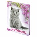 Блокнот МАЛЫЙ ФОРМАТ 110х147 мм, А6, 80 л., твердый, клетка, выборочный лак, BRAUBERG, "Котята", 122192 122192
