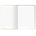 Блокнот с резинкой в клетку 96 л., А5 (145х203 мм), твердая обложка с фольгой, BRAUBERG, "Avocado", 113733 113733