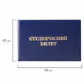 Бланк документа "Студенческий билет для ВУЗа", 65х98 мм, STAFF, 129144 129144