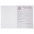 Бланк документа "Трудовая книжка", 88х125 мм, ГОЗНАК 121229