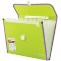 Папка-портфель пластиковая BRAUBERG "JOY", А4 (330х245х35 мм), 13 отделений, с окантовкой, салатовая, 227974 227974
