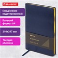 Ежедневник недатированный БОЛЬШОЙ ФОРМАТ 210х297 мм, А4, BRAUBERG Iguana, 160л, синий, 114451 114451
