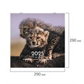 Календарь настенный перекидной на 2025 г., BRAUBERG, 12 листов, 29х29 см, "Детёныши", 116171 116171