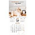 Календарь настенный перекидной на 2025 г., BRAUBERG, 12 листов, 29х29 см, "Смешные котики", 116165 116165
