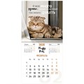 Календарь настенный перекидной на 2025 г., BRAUBERG, 12 листов, 29х29 см, "Смешные котики", 116165 116165