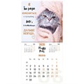 Календарь настенный перекидной на 2025 г., BRAUBERG, 12 листов, 29х29 см, "Смешные котики", 116165 116165