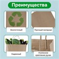 Крафт-пакет бумажный 22х12х25 см, КОМПЛЕКТ 50 шт., крученые ручки, плотность 90 г/м2, LAIMA ECO CRAFT, 609684 609684