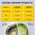 Рулоны для вакуумного упаковщика, рифленые, НАБОР 5 шт. (12 / 15 / 20 / 25 / 28 см х 500 см), SONNEN, 456341 456341