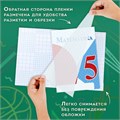 Пленка самоклеящаяся для учебников и книг, 45х30 см, комплект 10 шт., фактурная, ПИФАГОР, 227203 227203