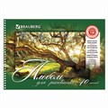Альбом для рисования, А4, 40 листов, гребень, обложка картон, BRAUBERG, 195х285 мм, "Удивительная Природа" (2 вида), 102832 102832