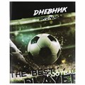 Дневник 1-11 класс 40 л., на скобе, ПИФАГОР, обложка картон, "Футбол", 106817 106817