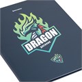Дневник 1-11 класс 40 л., твердый, BRAUBERG, матовая ламинация, "Dragon", 107178 107178