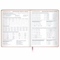 Дневник 1-11 класс 48 л., кожзам (твердая с поролоном), тиснение, аппликация, BRAUBERG, "Smart Cat", 106206 106206
