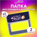 Папка для тетрадей ЮНЛАНДИЯ А5, пластик, 2 отделения, клапан на липучке, "Bored cat", 272189 272189