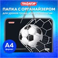 Папка для труда на молнии с ручками ПИФАГОР А4, 1 отделение, пластик, органайзер, "Ball kick", 272229 272229