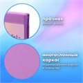Папка на молнии BRAUBERG А4 с ручкой, с органайзером, 1 отделение, "Cheerful", 271448 271448