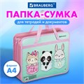 Папка на молнии с ручками BRAUBERG А4, 1 отделение, пластик, 80 мм, "BEST PALS", 271467 271467