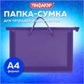 Папка на молнии с ручками ПИФАГОР, А4, 1 отделение, пластик, 55 мм, фиолетовая, 228237 228237