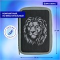 Пенал BRAUBERG, 2 отделения, полиэстер, 21х14 см, "Savage lion", 272331 272331