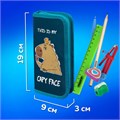 Пенал ПИФАГОР, 1 отделение, ламинированный картон, 19х9 см, "Capy face", 272245 272245