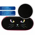 Пенал-футляр BRAUBERG, 1 отделение, органайзер, полиэстер, 22x9x5 см, "Cat eye", 271585 271585