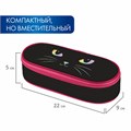Пенал-футляр BRAUBERG, 1 отделение, органайзер, полиэстер, 22x9x5 см, "Cat eye", 271585 271585