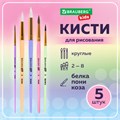 Кисти НАБОР 5 шт. (БЕЛКА круглая № 3; КОЗА круглые № 6, 8; ПОНИ круглые № 2, 5), BRAUBERG KIDS, 201080 201080
