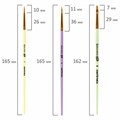 Кисти СИНТЕТИКА набор 3 шт. (круглые № 1, 2, плоская № 3), пакет с европодвесом, BRAUBERG KIDS, 201078 201078
