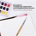 Кисть ПИФАГОР, КОЗА, круглая, № 6, деревянная лакированная ручка, колпачок, пакет с подвесом, 200829 200829