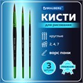 Кисти BRAUBERG PREMIUM, набор 3 шт. (из ворса пони круглые № 2, 4, 7), блистер, 201021 201021