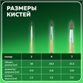Кисти BRAUBERG, набор 3 шт. (пони, круглые № 2, 4, 7), блистер, 200220 200220