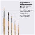 Кисти ПИФАГОР, набор 5 шт. (ПОНИ: круглые № 1, 4; КОЗА: круглые № 3, 6; ЩЕТИНА: плоская № 4), пакет с европодвесом, 200892 200892