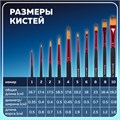 Кисти BRAUBERG PREMIUM, набор 10 шт. (синтетика, круглые № 1, 2, 3, 5, 8, плоские № 2, 4, 6, 8, 10), 201027 201027