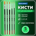Кисти BRAUBERG, набор 5 шт. (синтетика, круглые № 1, 2, 5, плоские № 5, 8), блистер, 200219 200219
