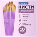 Кисти синтетика BRAUBERG, НАБОР 10 шт., фиолетовые (Круглые; Овальные; Плоские; Лайнеры), 201029 201029