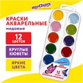 Краски акварельные ЮНЛАНДИЯ "ЮНЫЙ ВОЛШЕБНИК", медовые, 12 цветов, круглые кюветы, пластик, 192358 192358