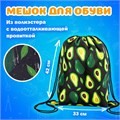 Папка на молнии с ручками А4, мешок для обуви 42х33 см, пенал 20х10 см, "Avocado" НАБОР BRAUBERG, 271433 271433