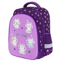 Ранец BRAUBERG KIDS STANDARD, 2 отделения, "Playing kittens", 36х28х14 см, 272038 272038