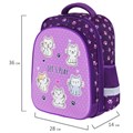 Ранец BRAUBERG KIDS STANDARD, 2 отделения, "Playing kittens", 36х28х14 см, 272038 272038