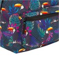Рюкзак BRAUBERG СИТИ-ФОРМАТ универсальный, "Toucans", разноцветный, 41х32х14 см, 228847 228847