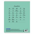 Тетрадь 12 л. BRAUBERG КЛАССИКА NEW узкая линия, обложка картон, ЗЕЛЕНАЯ, 105692 105692
