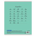 Тетрадь 12 л. BRAUBERG КЛАССИКА NEW частая косая линия, обложка картон, ЗЕЛЕНАЯ, 105694 105694