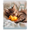 Тетрадь 12 л. BRAUBERG косая линия, обложка картон, CATS AND DOGS, 107288 107288