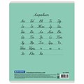 Тетрадь 24 л. BRAUBERG КЛАССИКА NEW линия, обложка картон, АССОРТИ (5 видов), 105704 105704