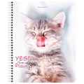 Тетрадь А5 80 л. BRAUBERG, гребень, клетка, глянцевая ламинация, "Довольные Коты" (микс в спайке), 404417 404417