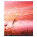 Тетрадь А5 96 л. BRAUBERG скоба, клетка, обложка картон, "Calm" (микс в спайке), 404435 404435